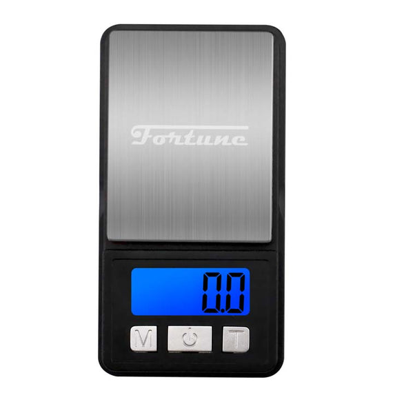 Fortune 200g*0.01 Scale SS-200