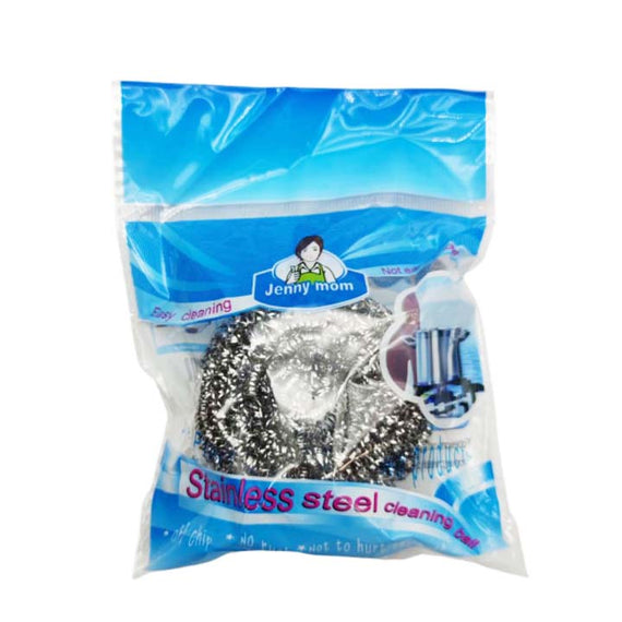 Stainless Steel Scourer